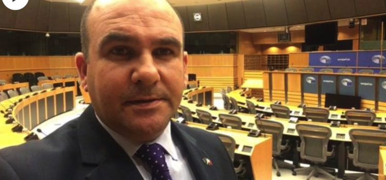6 MEPs can do a lot for Malta, if they work together